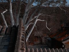 -潭柘寺景区