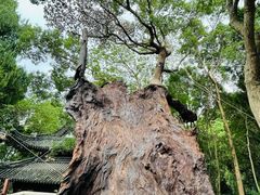-台州府城(江南长城)
