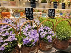 -星巴克(北京远大路金源燕莎店)