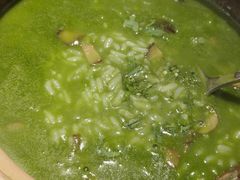 -十二舍·湯物素煮(江泰潤政店)