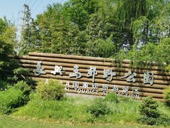 -上海长兴岛郊野公园