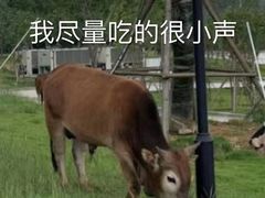 -谢记素红大肠店(新民路店)