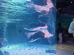 -沈阳海洋探索中心