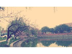 -西南民族大学南区(双流校区)