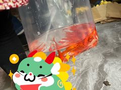 -中环花鸟鱼虫市场