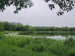 -北坞公园