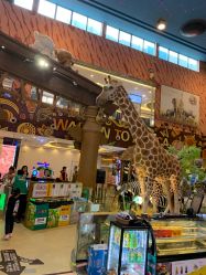 -卡通尼·Safari非洲探索乐园·生日会(金桥国际商业广场店)