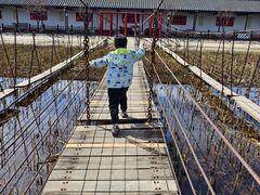 -河北村民俗体验园