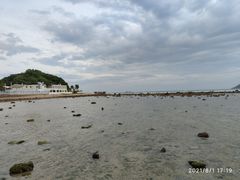 -九毛九西北菜(大东海店)