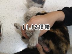 -美联众合动物医院·24h京西诊疗中心