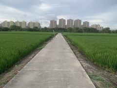 -美兰湖景区