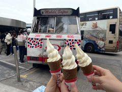 -富豪雪糕车流动点(尖沙咀店)