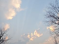 -中海·庐山西海君澜度假酒店·味屿全日制餐厅