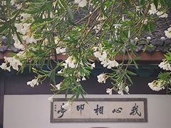 -西湖游船