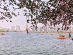 -莫愁湖公园
