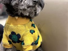 -星巴克(西安益田假日世界店)