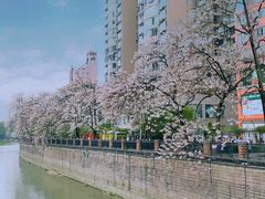 -红星桥(地铁站)