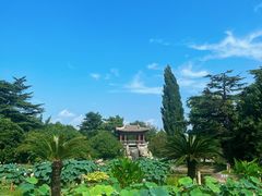 -国家植物园南园