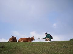 -大姆山草场