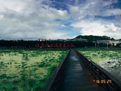 -毛泽东才溪乡调查旧址景区