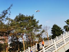 -宝安西湾红树林湿地公园