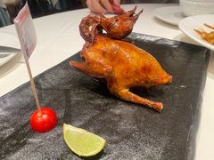 -侨美食家·40年地道粤菜(珠江新城店)