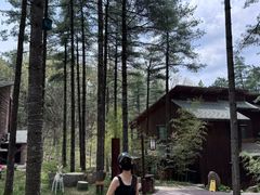 -洛阳白云山景区