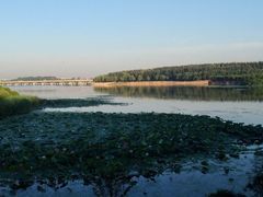 -丁香湖公园