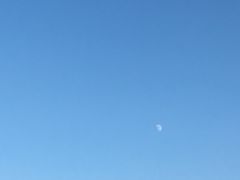-眉山湿地公园(东坡区)
