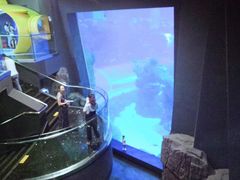 -成都浩海立方海洋公园