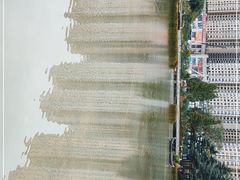 -花果园湿地公园
