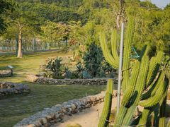 -东莞植物园