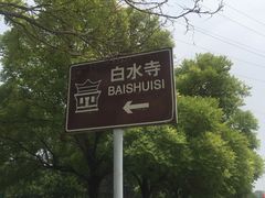 -白水寺森林公园