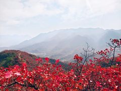 -水峪民俗村