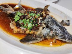 豆豉蒸鲟龙鱼-万龙洲海鲜(大兴绿地缤纷城店)
