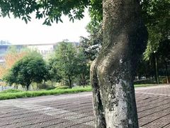 -西南政法大学(沙坪坝校区)