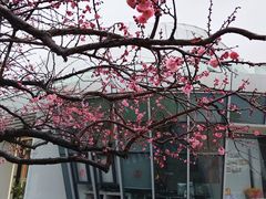 -太湖月亮湾