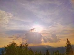 -长虫山生态公园风景林