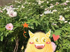 -盛世牡丹苑生态文化旅游区