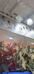 点击看大图 -拾光年华摄影馆(菱角湖公园店)