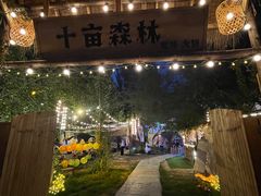 -十亩森林
