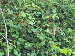 -溪口-滕头旅游景区