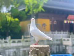 -重元寺
