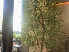-珠海棕泉酒店(拱北口岸高铁站店)