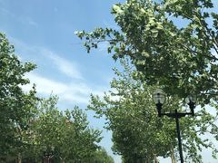 -秦皇岛阿尔卡迪亚滨海度假酒店