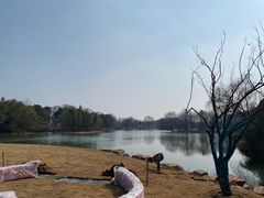 -梁鸿国家湿地公园