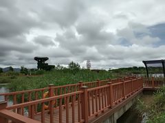 -芒洲湿地公园
