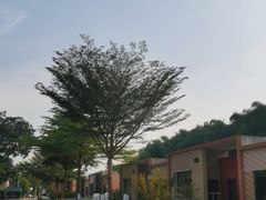 -佛山市三水温泉度假村