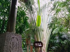 -龙达温泉生态城
