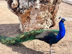 -水上乐园·欢乐世界